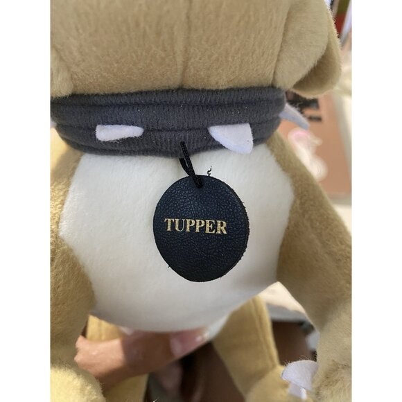 Bryant Univeristy Tupper the Dog Mascot Plush Stuffed Animal‎ HTF RARE Standing - Picture 3 of 9